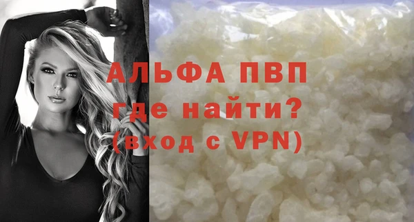 прущие грибы Зеленодольск
