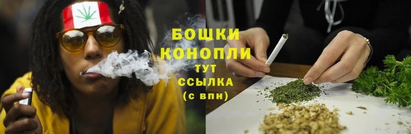 прущие грибы Зеленодольск