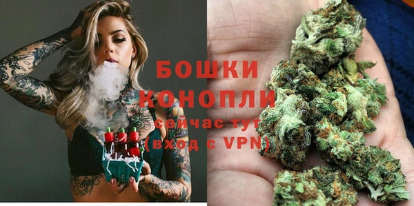 прущие грибы Зеленодольск