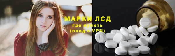 прущие грибы Зеленодольск