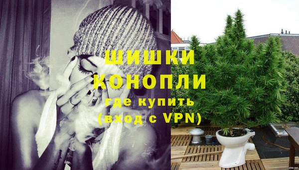 твердый Инта
